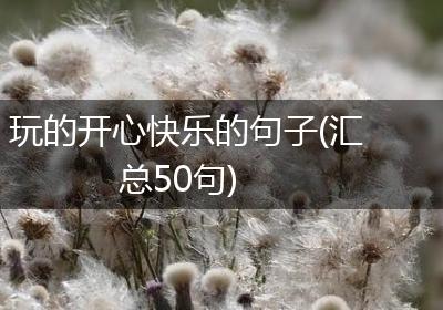玩的开心快乐的句子(汇总50句)