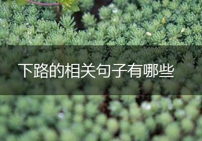 下路的相关句子有哪些
