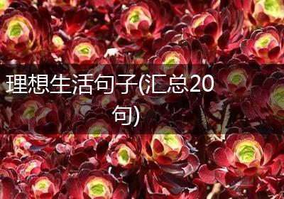 理想生活句子(汇总20句)