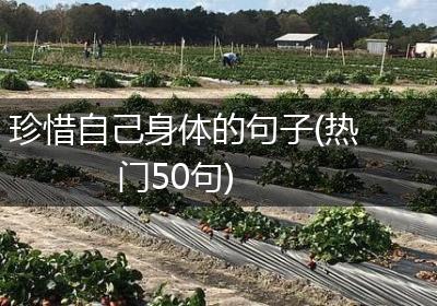 珍惜自己身体的句子(热门50句)