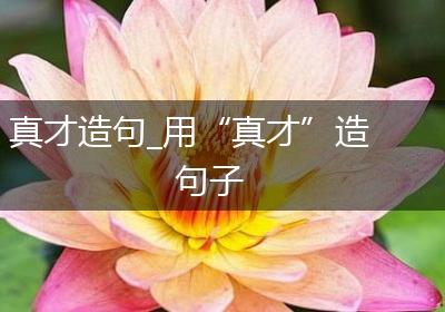 真才造句_用“真才”造句子