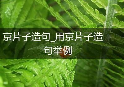 京片子造句_用京片子造句举例