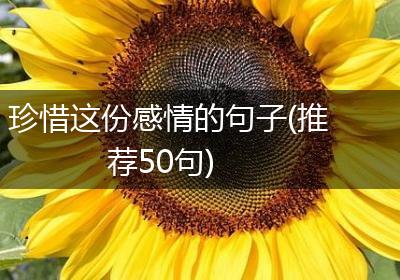 珍惜这份感情的句子(推荐50句)