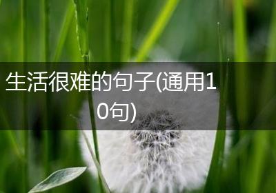 生活很难的句子(通用10句)