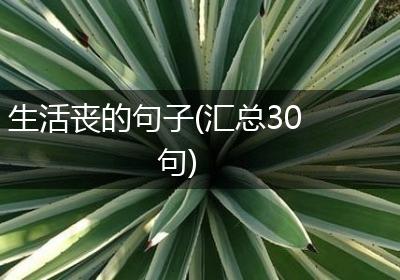 生活丧的句子(汇总30句)