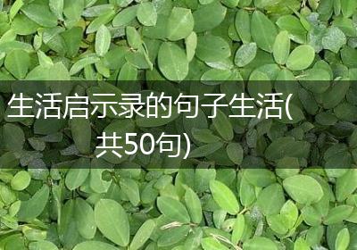 生活启示录的句子生活(共50句)