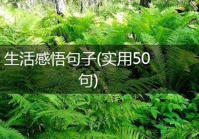 生活感悟句子(实用50句)