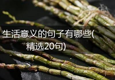 生活意义的句子有哪些(精选20句)