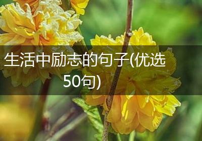 生活中励志的句子(优选50句)
