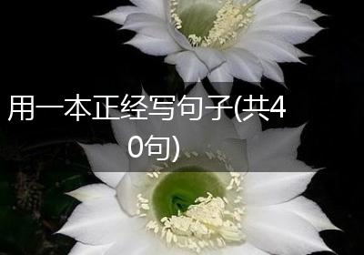 用一本正经写句子(共40句)