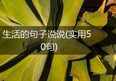 生活的句子说说(实用50句)