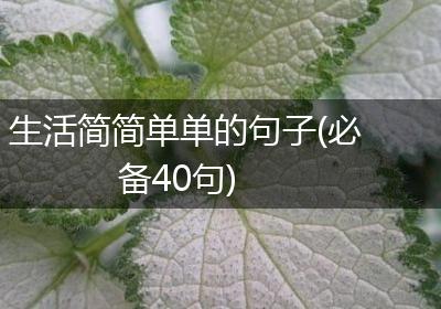 生活简简单单的句子(必备40句)