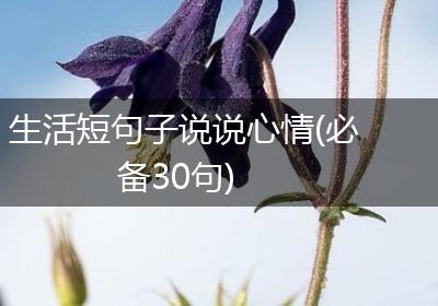 生活短句子说说心情(必备30句)