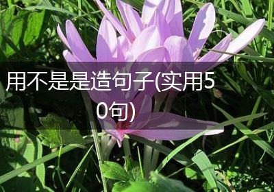 用不是是造句子(实用50句)