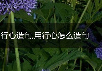 行心造句,用行心怎么造句