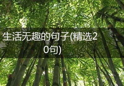 生活无趣的句子(精选20句)