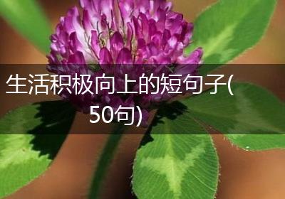 生活积极向上的短句子(50句)