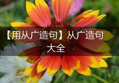 【用从广造句】从广造句大全