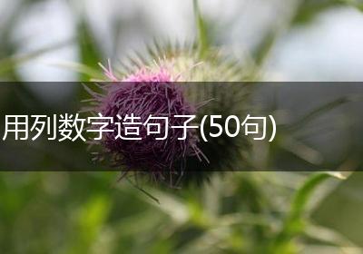 用列数字造句子(50句)