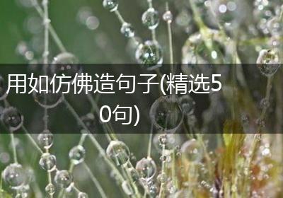 用如仿佛造句子(精选50句)