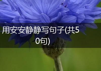 用安安静静写句子(共50句)