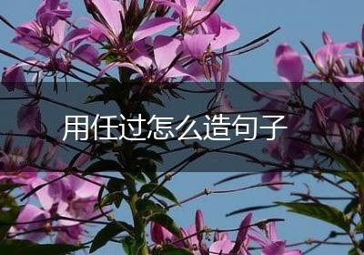 用任过怎么造句子