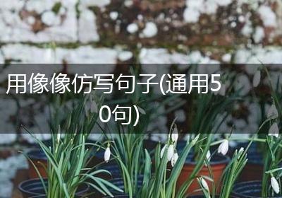 用像像仿写句子(通用50句)
