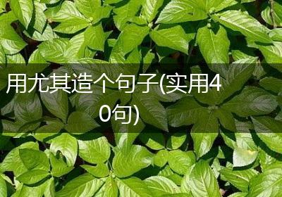 用尤其造个句子(实用40句)