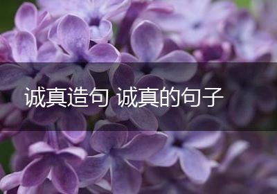 诚真造句 诚真的句子