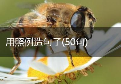 用照例造句子(50句)