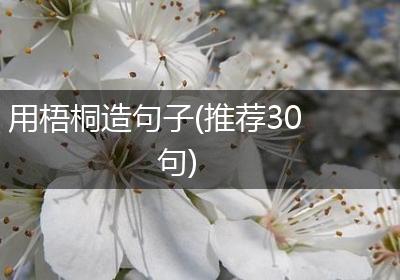 用梧桐造句子(推荐30句)