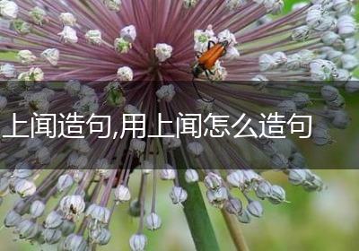 上闻造句,用上闻怎么造句