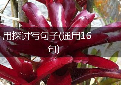 用探讨写句子(通用16句)