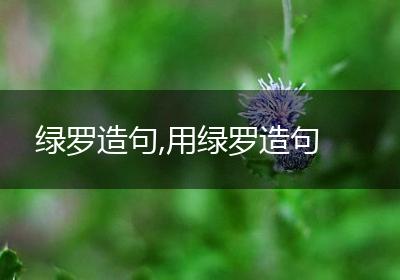 绿罗造句,用绿罗造句