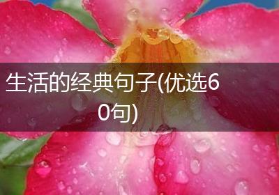 生活的经典句子(优选60句)