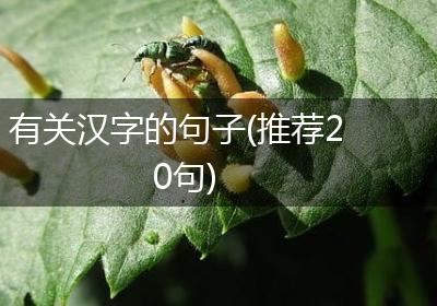 有关汉字的句子(推荐20句)
