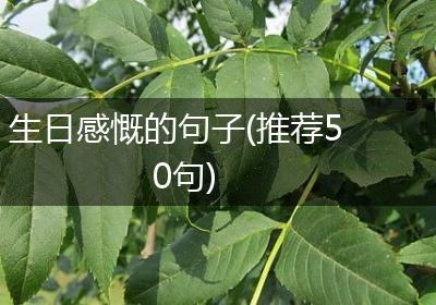 生日感慨的句子(推荐50句)