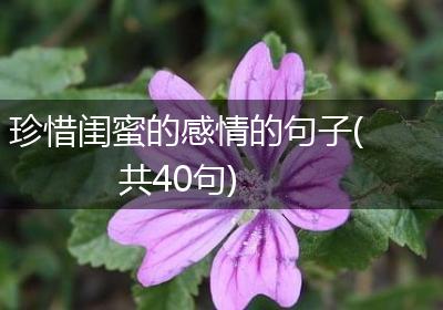 珍惜闺蜜的感情的句子(共40句)