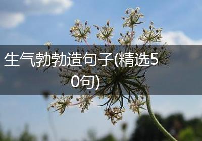 生气勃勃造句子(精选50句)