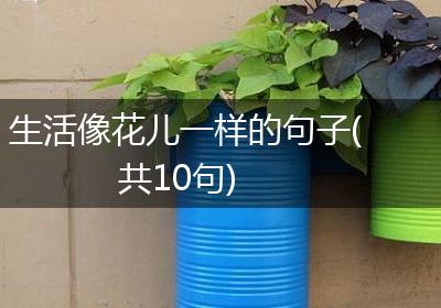 生活像花儿一样的句子(共10句)