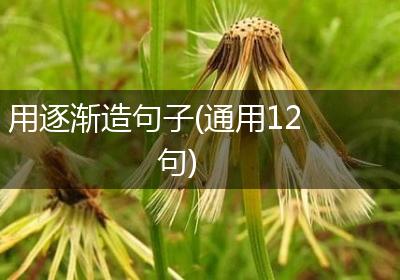 用逐渐造句子(通用12句)