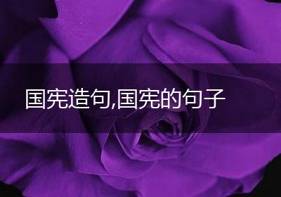 国宪造句,国宪的句子