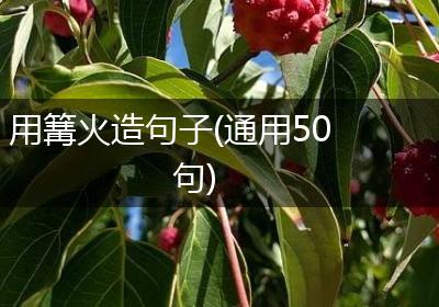 用篝火造句子(通用50句)