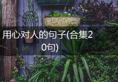 用心对人的句子(合集20句)