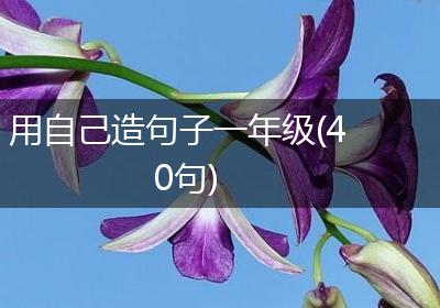 用自己造句子一年级(40句)