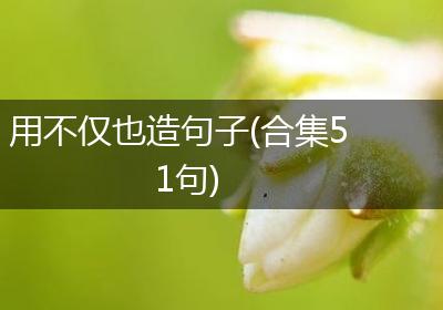 用不仅也造句子(合集51句)