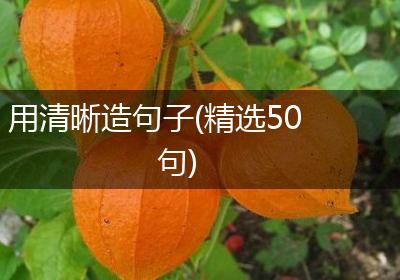 用清晰造句子(精选50句)