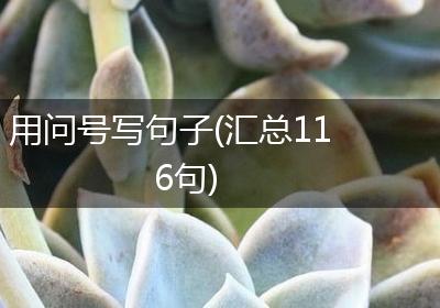 用问号写句子(汇总116句)