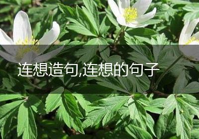 连想造句,连想的句子