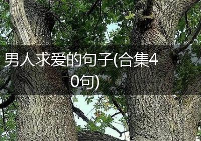 男人求爱的句子(合集40句)